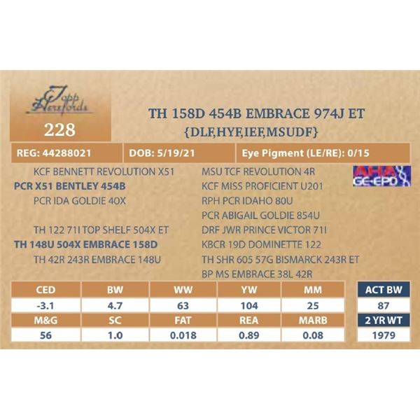 TH 158D 454B EMBRACE 974J ET