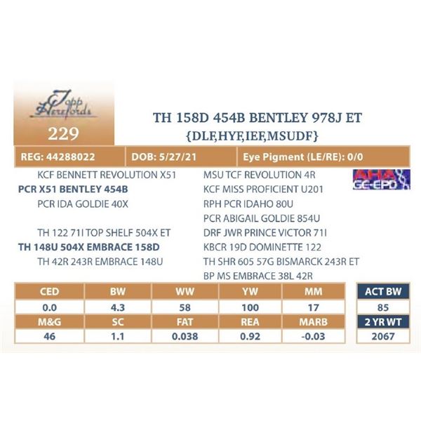 TH 158D 454B BENTLEY 978J ET