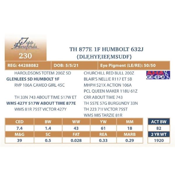 TH 877E 1F HUMBOLT 632J