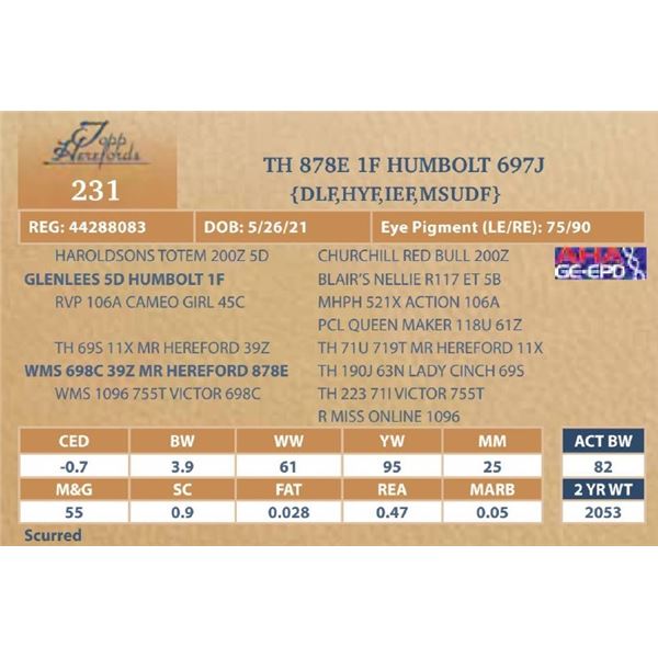 TH 878E 1F HUMBOLT 697J