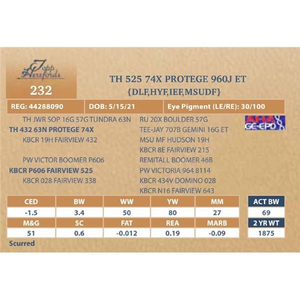 TH 525 74X PROTEGE 960J ET