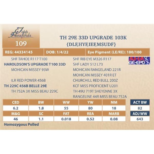 TH 29E 33D UPGRADE 103K