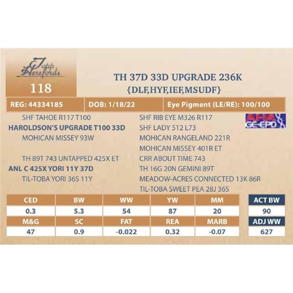 TH 37D 33D UPGRADE 236K