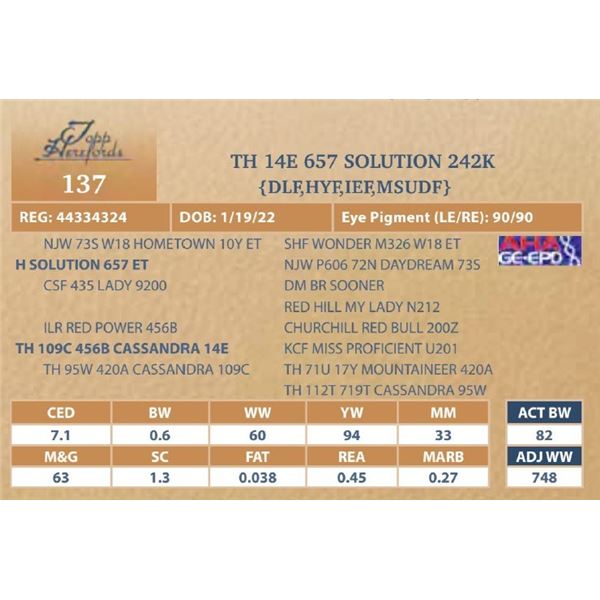 TH 14E 657 SOLUTION 242K