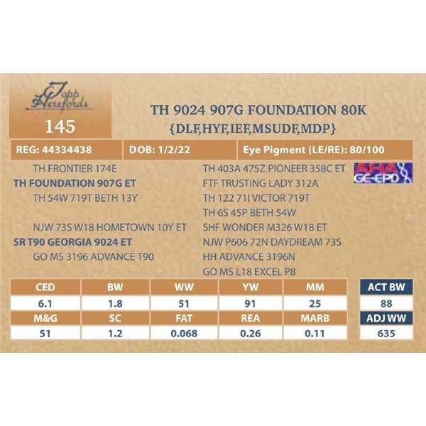 TH 9024 907G FOUNDATION 80K