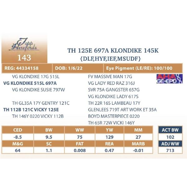 TH 125E 697A KLONDIKE 145K