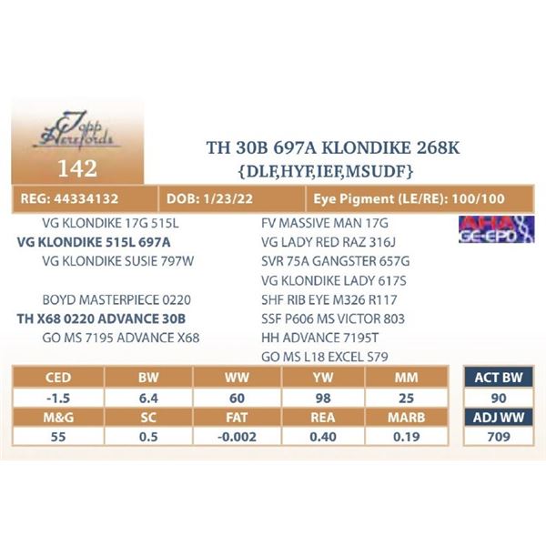 TH 30B 697A KLONDIKE 268K