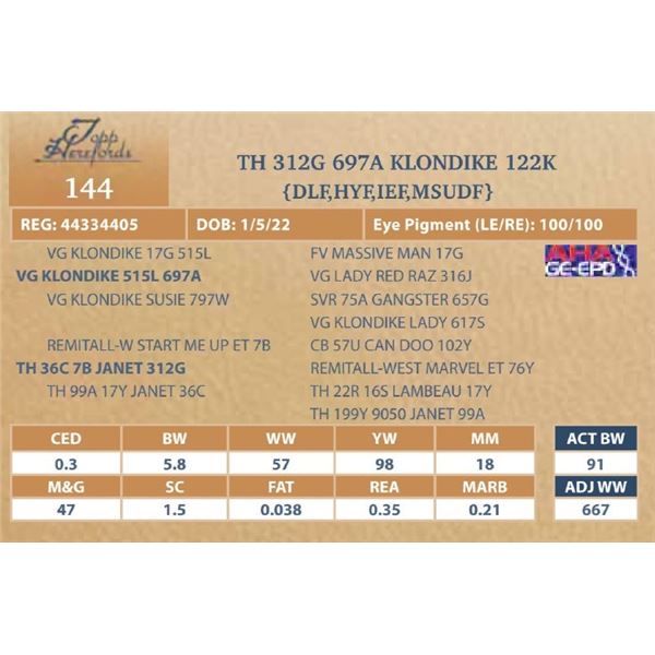 TH 312G 697A KLONDIKE 122