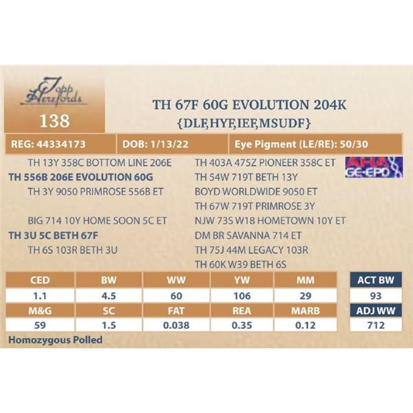 TH 67F 60G EVOLUTION 204K