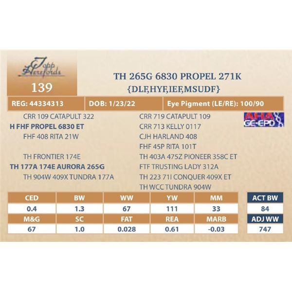 TH 265G 6830 PROPEL 271K