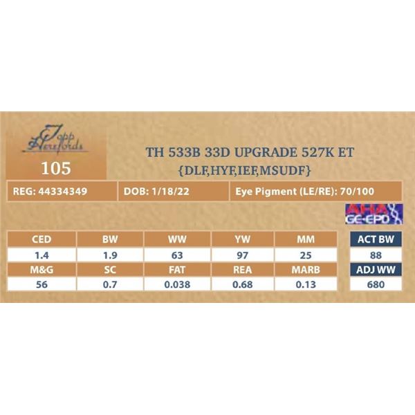 TH 533B 33D UPGRADE 527K ET