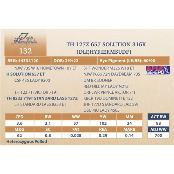 TH 127Z 657 SOLUTION 316K