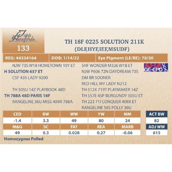 TH 18F 0225 VENTURE 211K