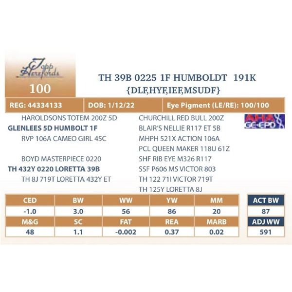 TH 39B 0225 VENTURE 191K