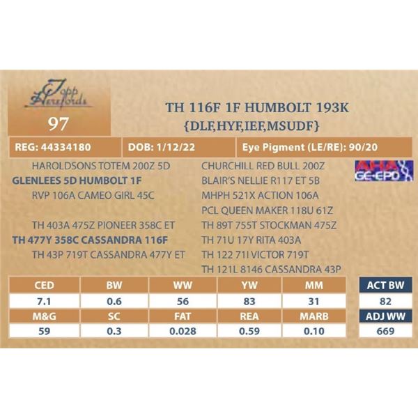 TH 116F 1F HUMBOLT 193K