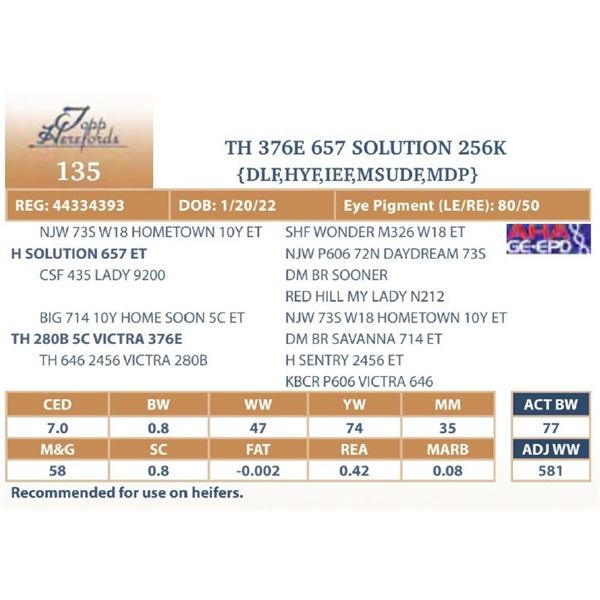 TH 376E 33D UPGRADE 256K
