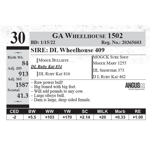 GA Wheelhouse 1502