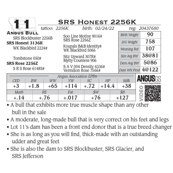 SRS Honest 2256K- OUT OF SALE