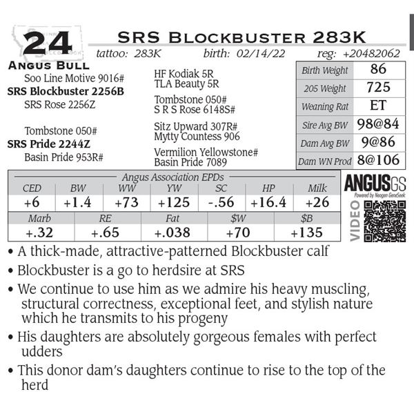 SRS Blockbuster 283K- OUT OF SALE