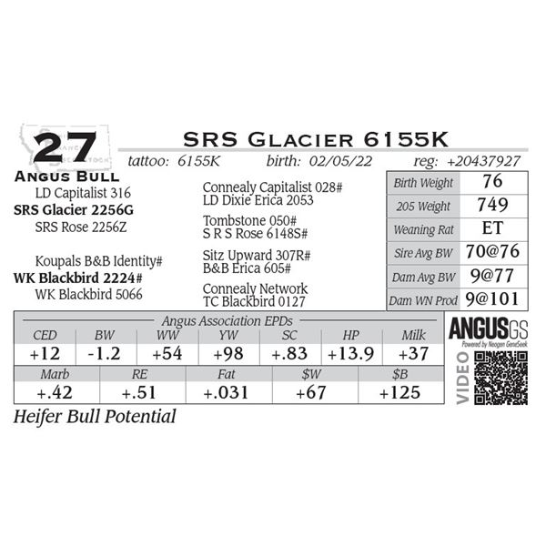 SRS Glacier 6155K