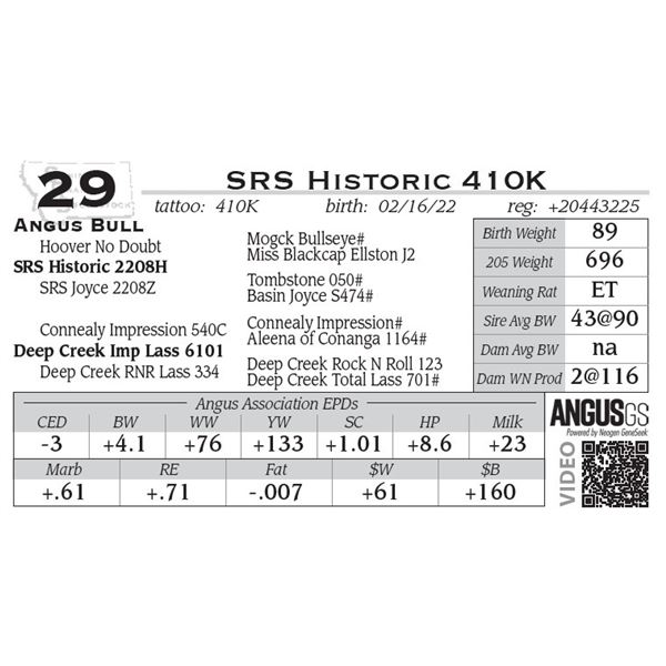 SRS Istoric 410K