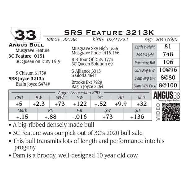 SRS Feature 3213K- OUT OF SALE