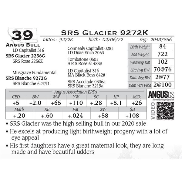 SRS Glacier 9272K- OUT OF SALE