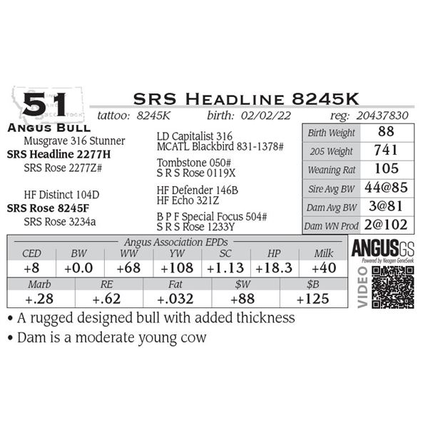 SRS Headline 8245K- OUT OF SALE