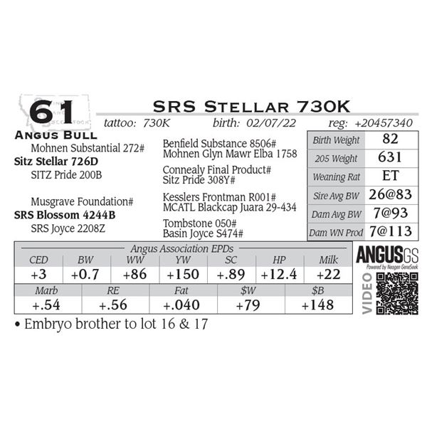 SRS Stellar 730K