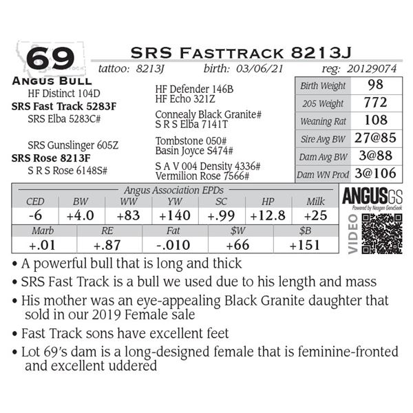SRS Fasttrack 8213J