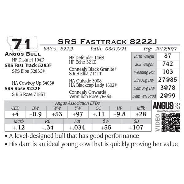 SRS Fasttrack 8222J