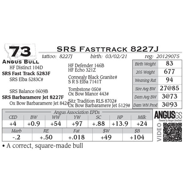 SRS Fasttrack 8289J
