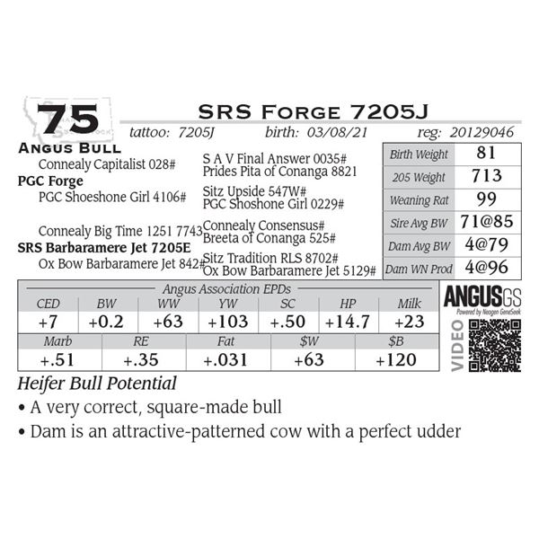 SRS Forge 7205J