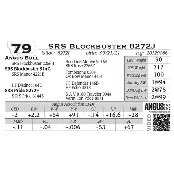 SRS Blockbuster 8272J