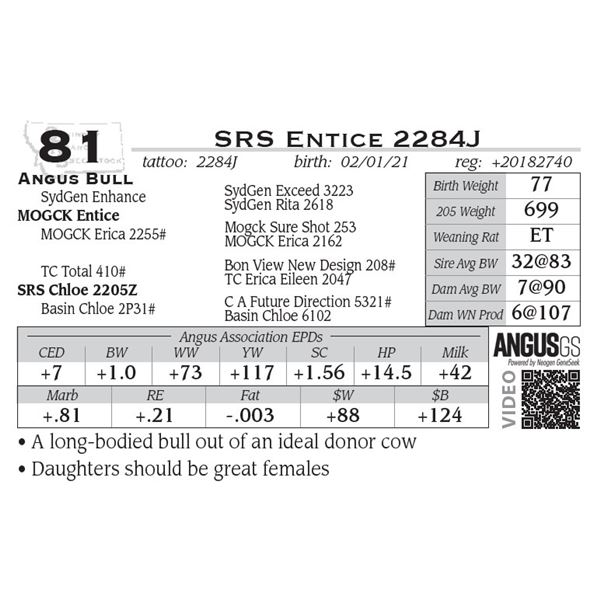 SRS Entice 2284J - NO VIDEO