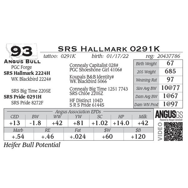 SRS Hallmark 0291K