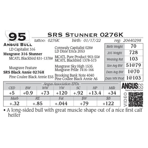 SRS Stunner 0276K