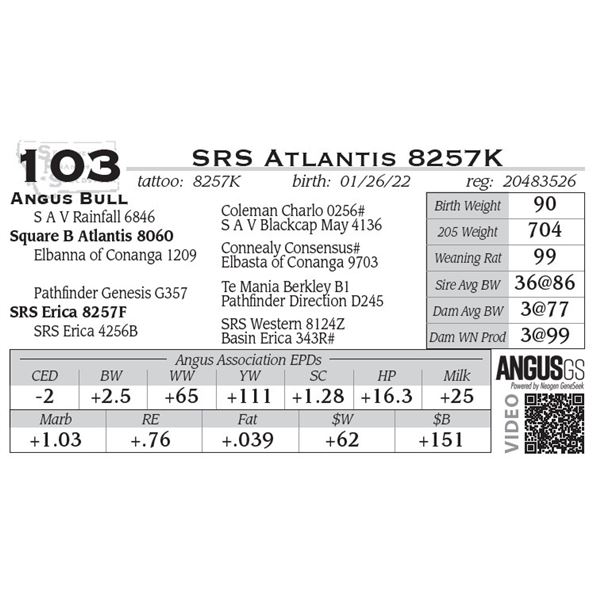 SRS Atlantis 8257K- OUT OF SALE