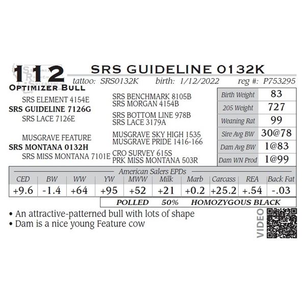 SRS GUIDELINE 0132K