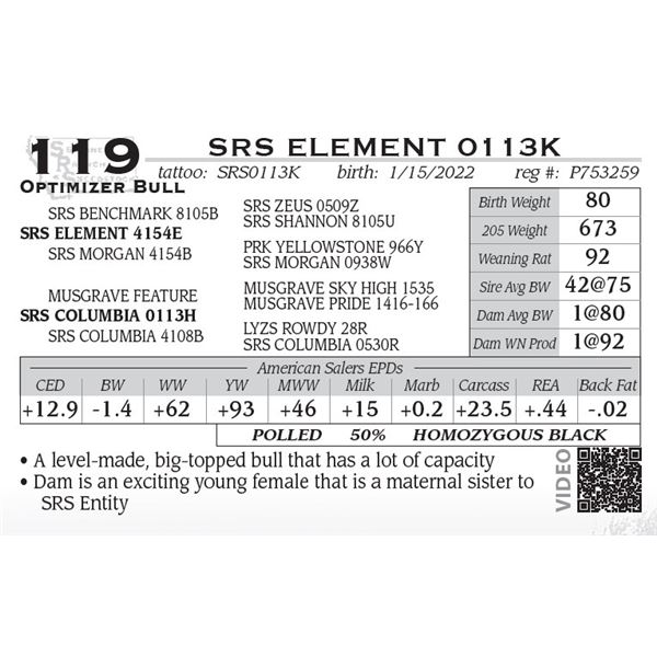 SRS ELEMENT 0113K- OUT OF SALE