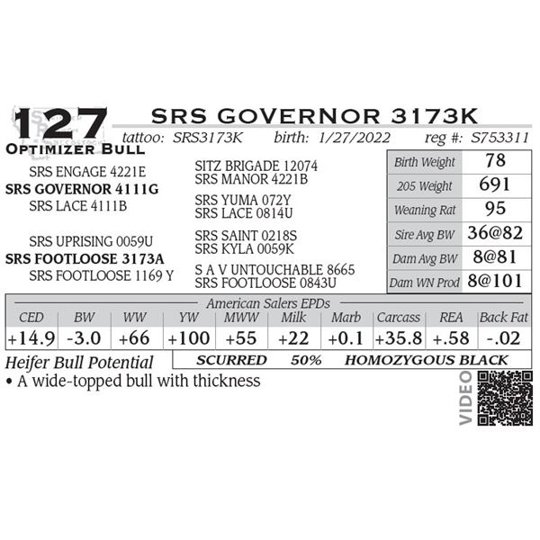 SRS GOVERNOR 3173K