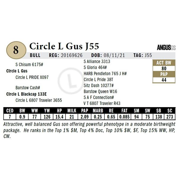 Circle L Gus J55