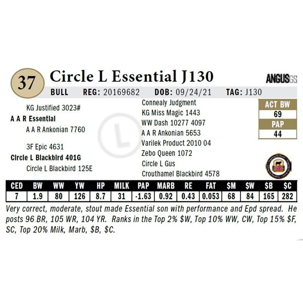 Circle L Essential J130