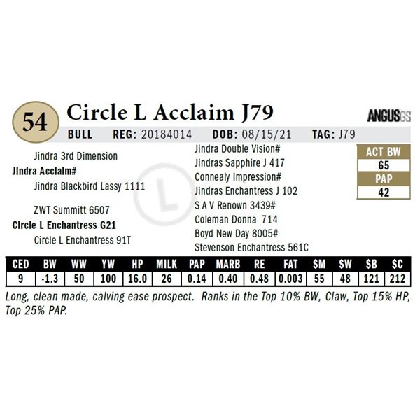 Circle L Acclaim J79