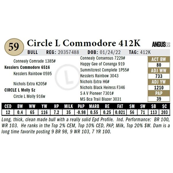 Circle L Commodore 412K