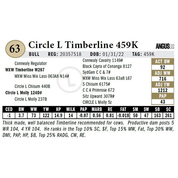 Circle L Timberline 459K