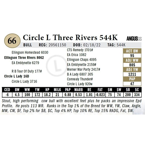 Circle L Three Rivers 544K