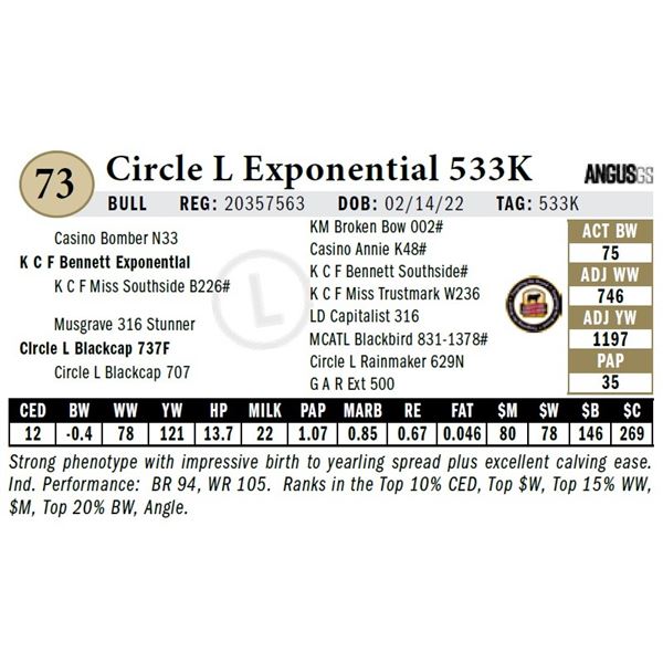 Circle L Exponential 533K