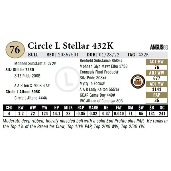 Circle L Stellar 432K