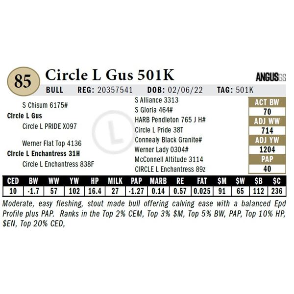 Circle L Gus 501K